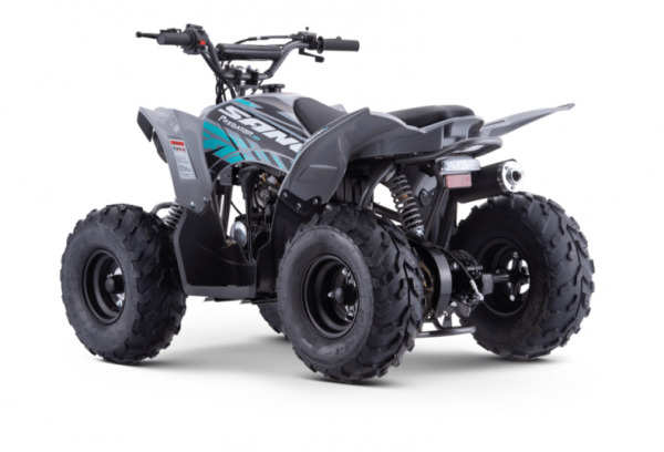 Kinder Quad Apollo Sano Predator 110cc